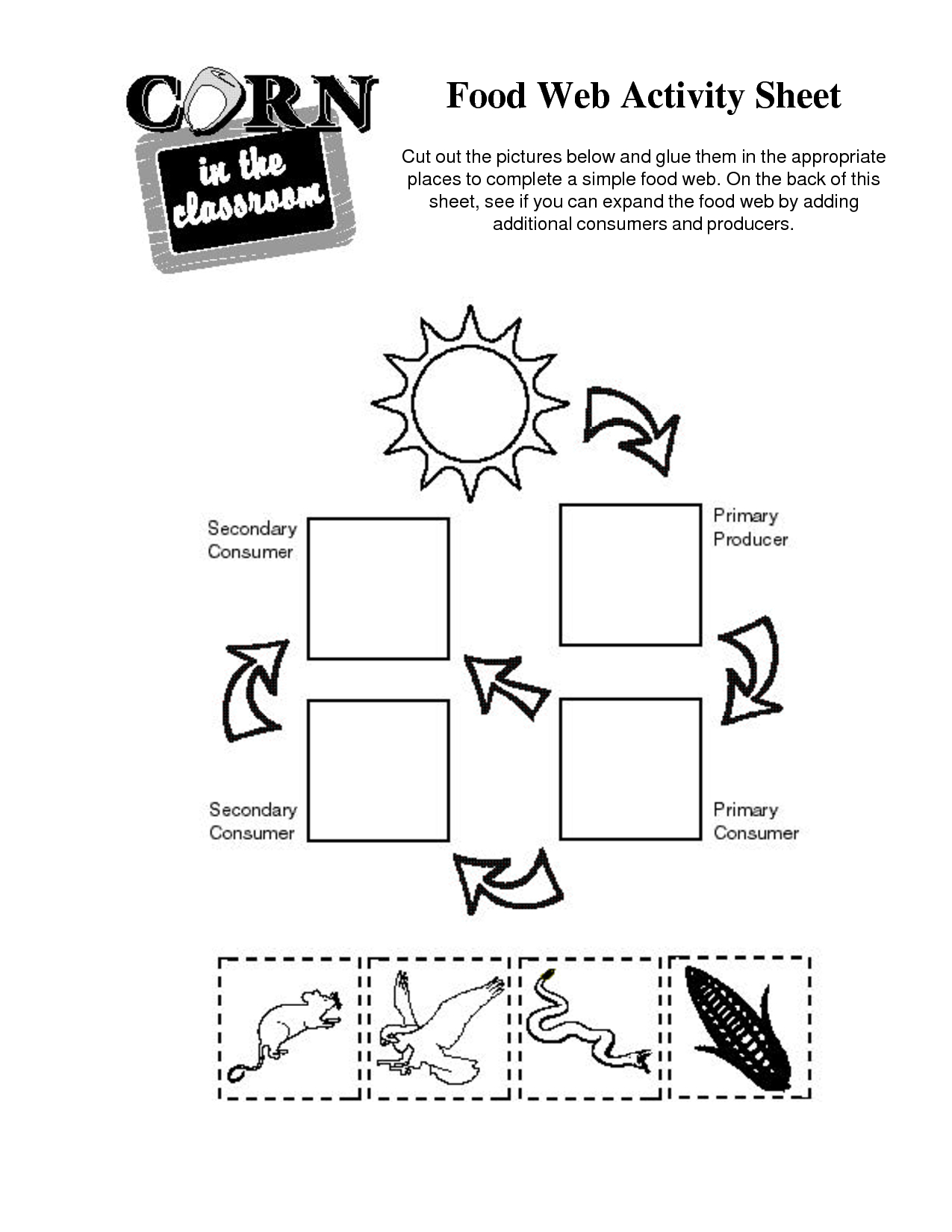 Food Webs And Food Chains Worksheet Food Chain Printable Worksheets Printable Worksheets