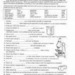 9Th Grade Physical Science Worksheets Inspirational Science | 9Th Grade Science Worksheets Free Printable