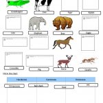 Animals   Food Chain Worksheet   Free Esl Printable Worksheets Made | Food Chain Printable Worksheets