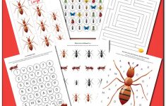 Ant Worksheets Printables