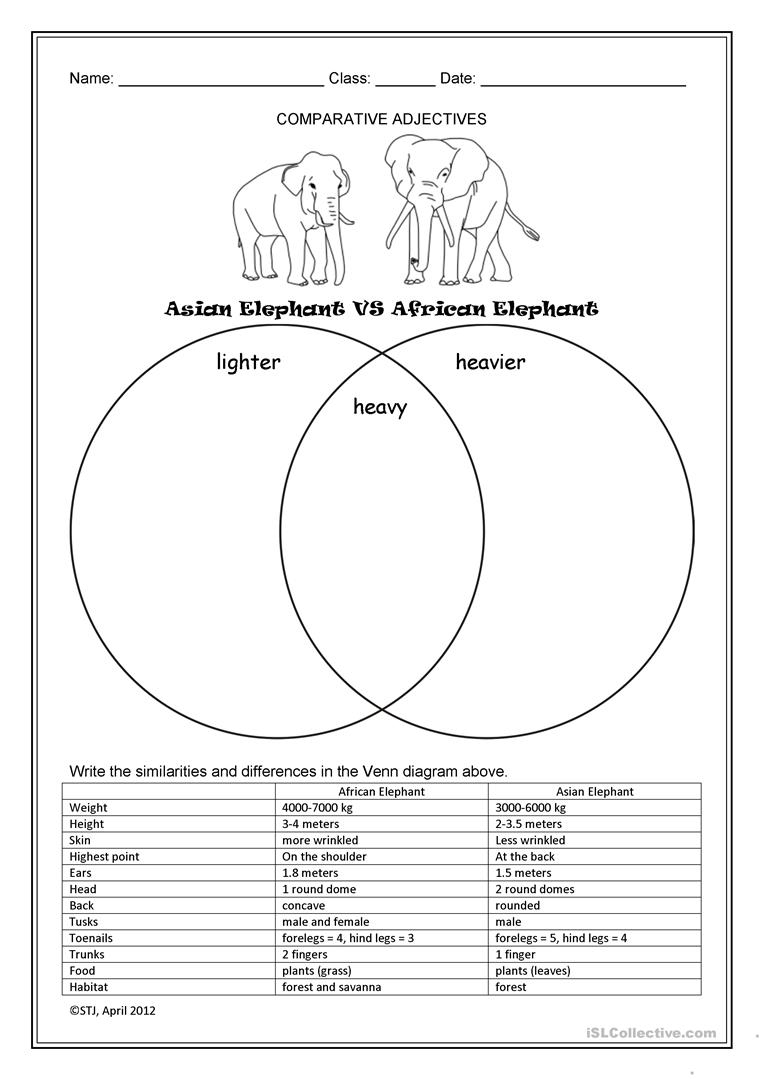 Asian Elephant Vs African Elephant Worksheet - Free Esl Printable | Free Printable Worksheets On Africa