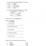 Basic English Test Worksheet   Free Esl Printable Worksheets Made | English Test Printable Worksheets