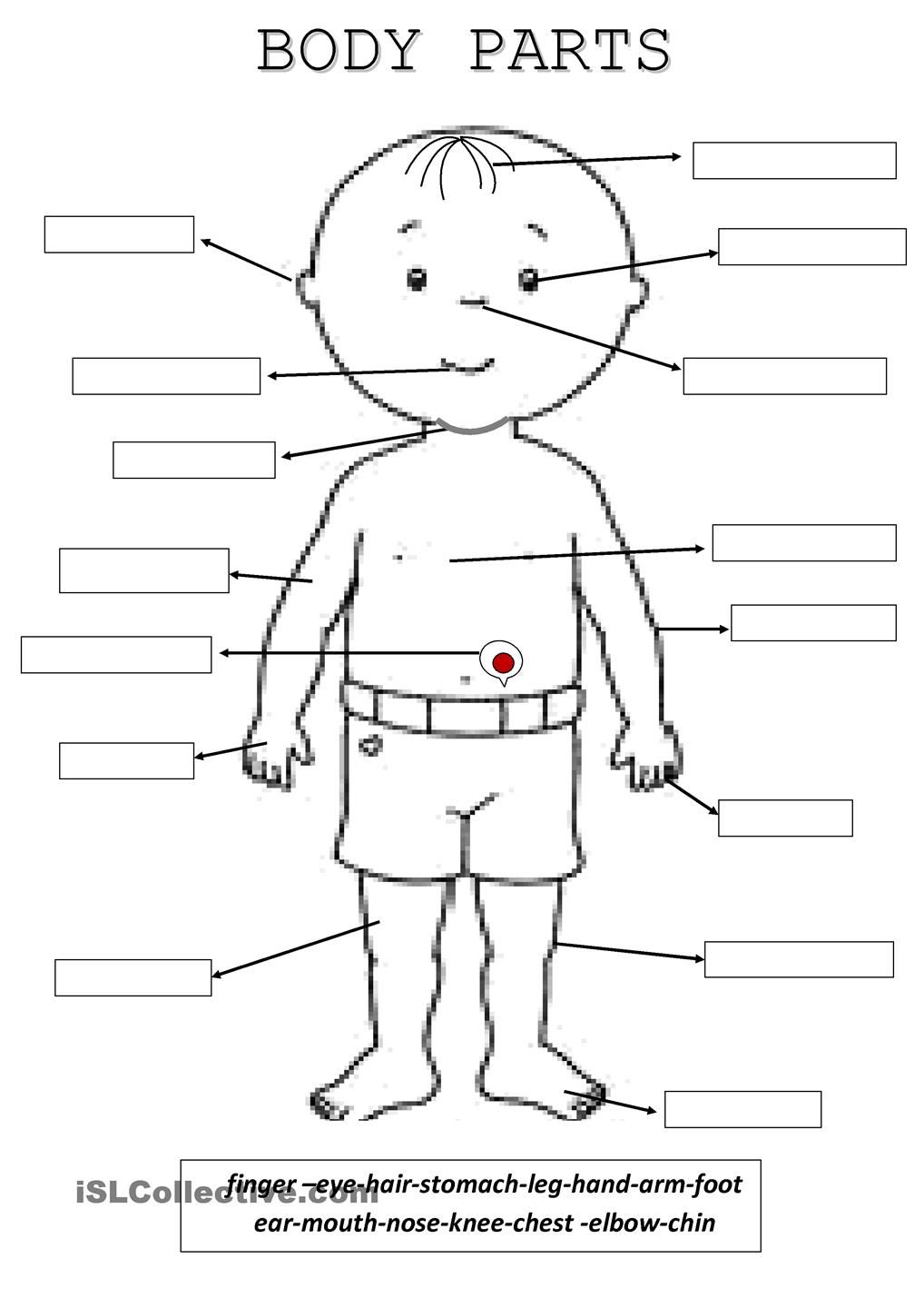 Body Parts | Edu. Activity Ideas | 1St Grade Worksheets, Teaching | Free Printable Worksheets Kindergarten Body Parts