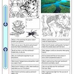Conversation Corner: Where In The World? (4)   Rainforest Worksheet | Rainforest Printable Worksheets