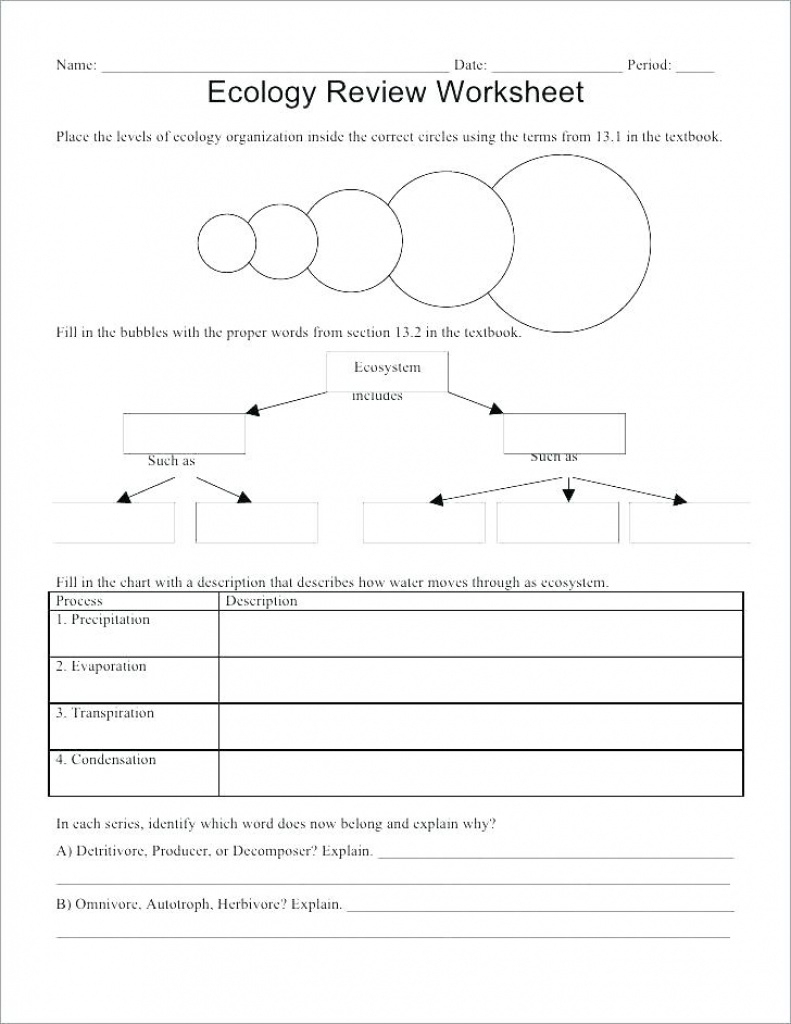 Ecology For Kids Worksheets – Derminelift Regarding Free Printable | Free Printable Biology Worksheets For High School