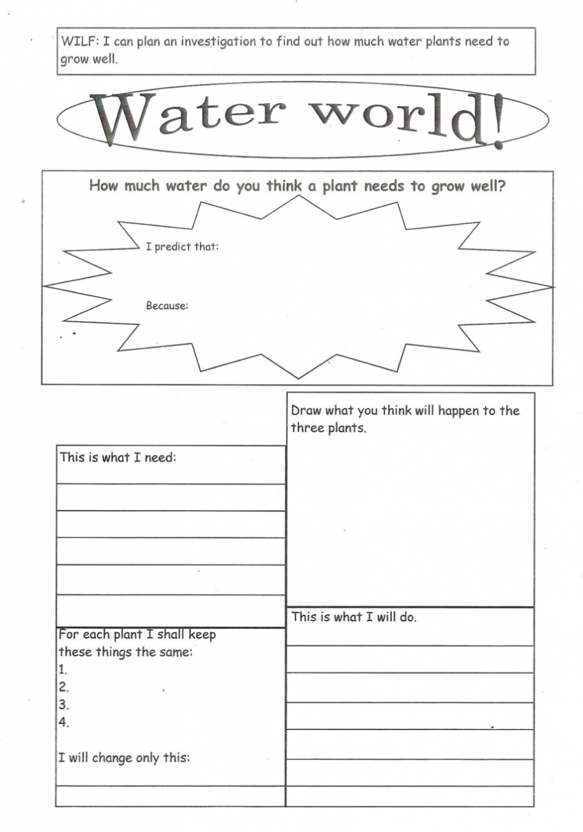 Enabling Access: Tips For Adapting Worksheets For Students With | Growing And Changing Printable Worksheets
