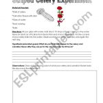 English Worksheets: Colored Celery Experiment | Celery Experiment Printable Worksheet