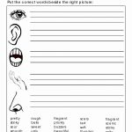 Free Printable 5 Senses Worksheets For Kindergarten – Aggelies | Free Printable Worksheets Kindergarten Five Senses