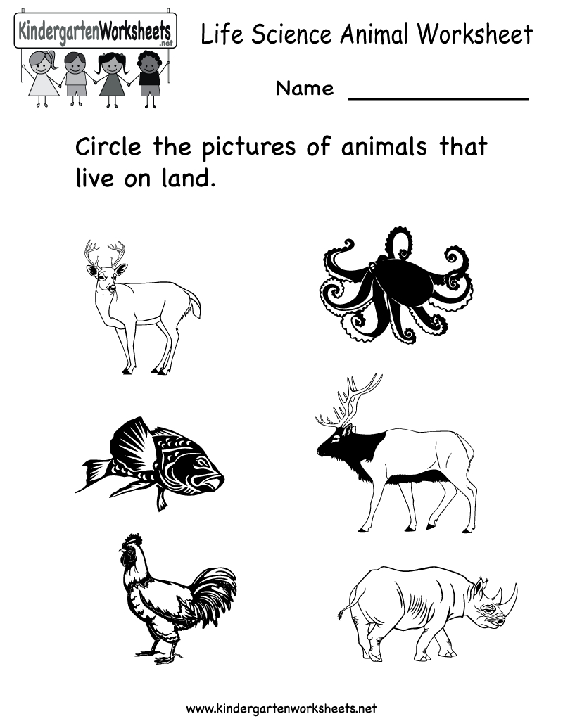 Free Printable Animal Worksheet For Kids | Crafts And Worksheets For | Free Printable Worksheets For Kids Science