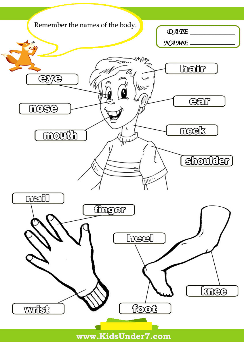 Free Printables For Kindergarten – With Learning Activities Also | Free Printable Worksheets Preschool Body Parts