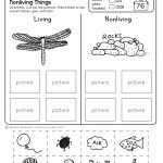 Freebie! No Prep Kindergarten Science Doodle Printables | T E A C H | Free Printable Science Worksheets