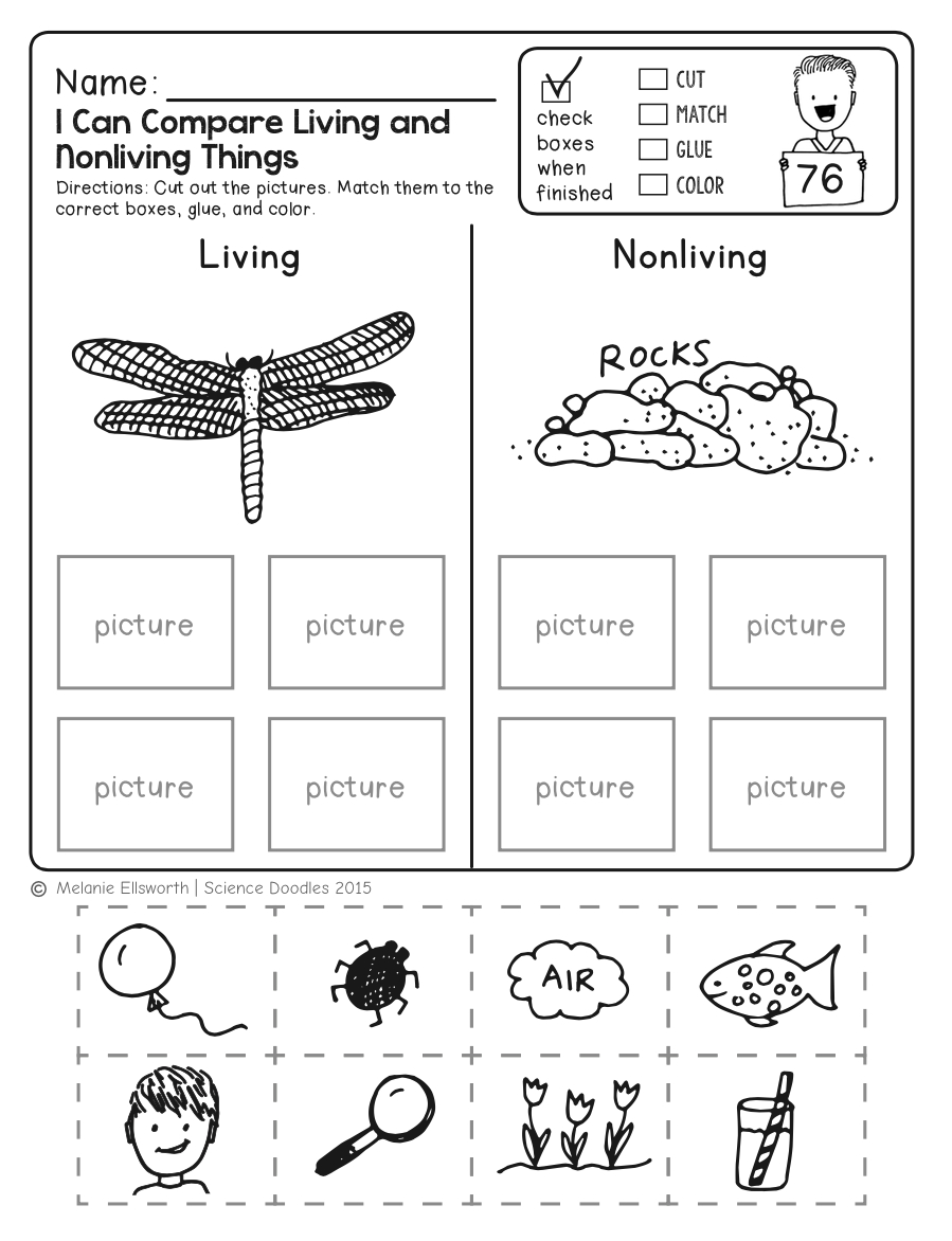 Freebie! No-Prep Kindergarten Science Doodle Printables | T E A C H | Science Worksheets For Kindergarten Free Printable