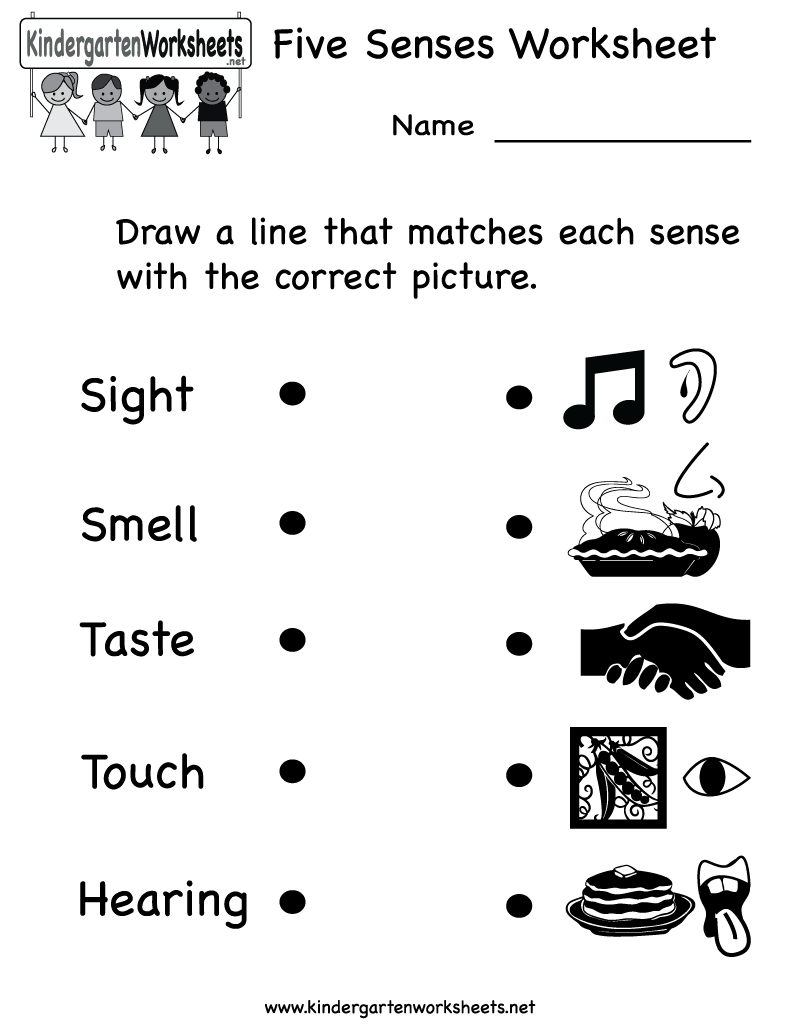Kindergarten Five Senses Worksheet Printable | Teaching Ideas | Five | Kindergarten Science Worksheets Printable