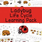 Ladybug Life Cycle   Fun With Mama | Free Printable Ladybug Life Cycle Worksheets