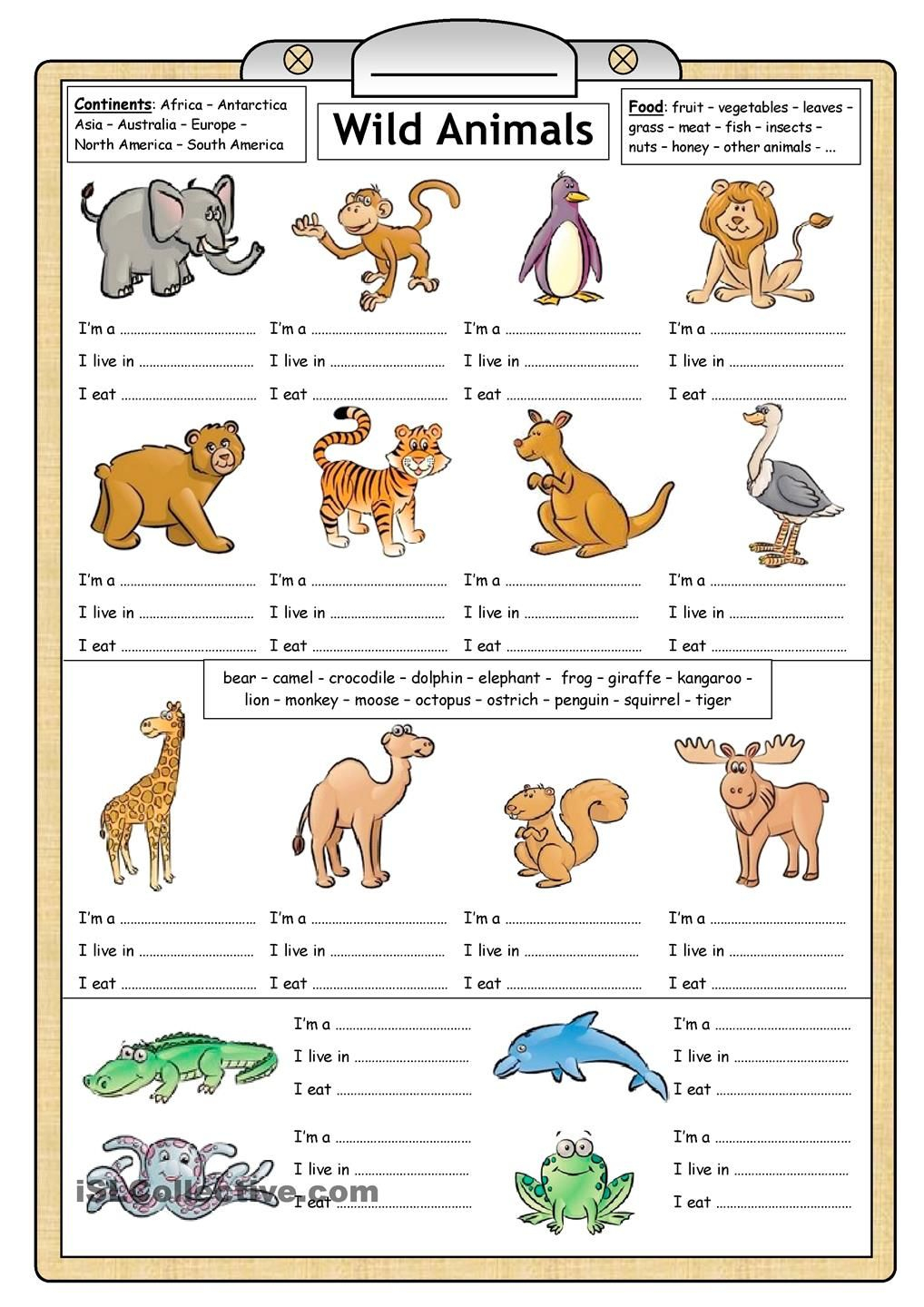 Learning About Animals For Kids Worksheets - Google Search | Los Animales Printable Worksheets