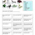 Let's Talk About Reptiles Worksheet   Free Esl Printable Worksheets | Free Printable Reptile Worksheets