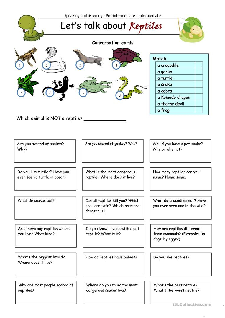 Let&amp;#039;s Talk About Reptiles Worksheet - Free Esl Printable Worksheets | Free Printable Reptile Worksheets
