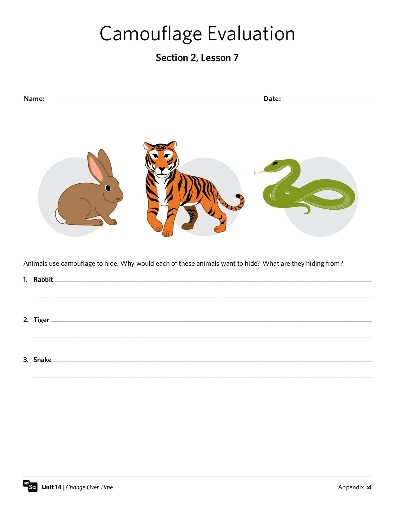Mysci Unit 14 - Isp | Third Grade | Third Grade, Grade 1, Worksheets | Free Printable Worksheets Animal Adaptations