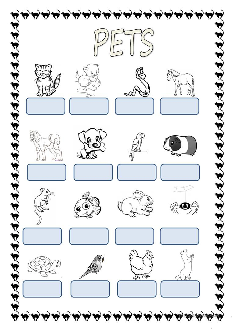 Pets Worksheet - Free Esl Printable Worksheets Madeteachers | Free Printable Pet Worksheets