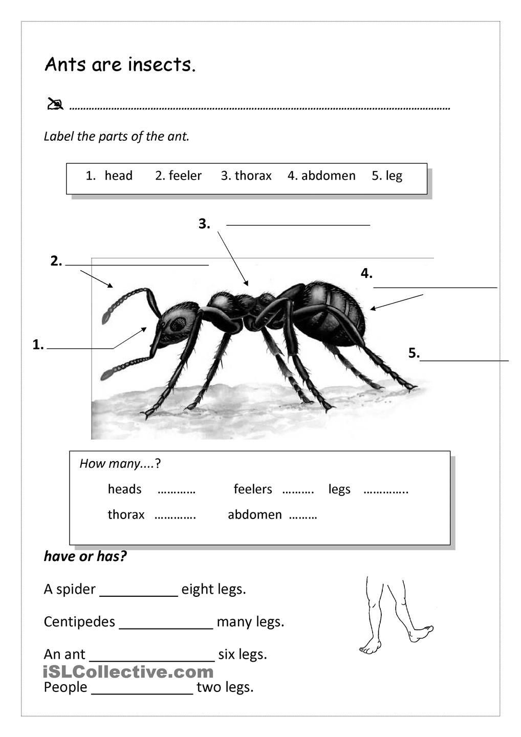 The Ants Go Marching Worksheet Free Esl Printable Worksheets Made 