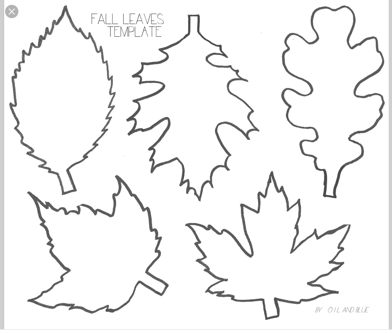 Pinlucie Davis On Skolka Worksheets | Leaf Template, Leaf - Free | Free Printable Leaf Worksheets
