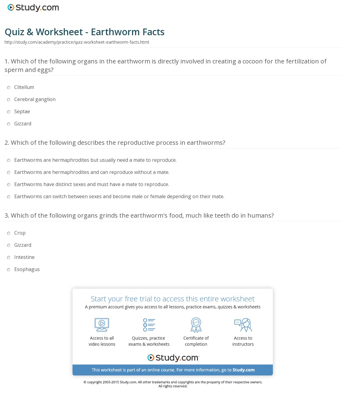 Quiz &amp;amp; Worksheet - Earthworm Facts | Study - Free Printable Worm | Free Printable Worm Worksheets
