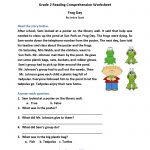 Reading Comprehension Practice Questions   Comprehension Passages | Free Printable Reading Comprehension Worksheets Grade 5