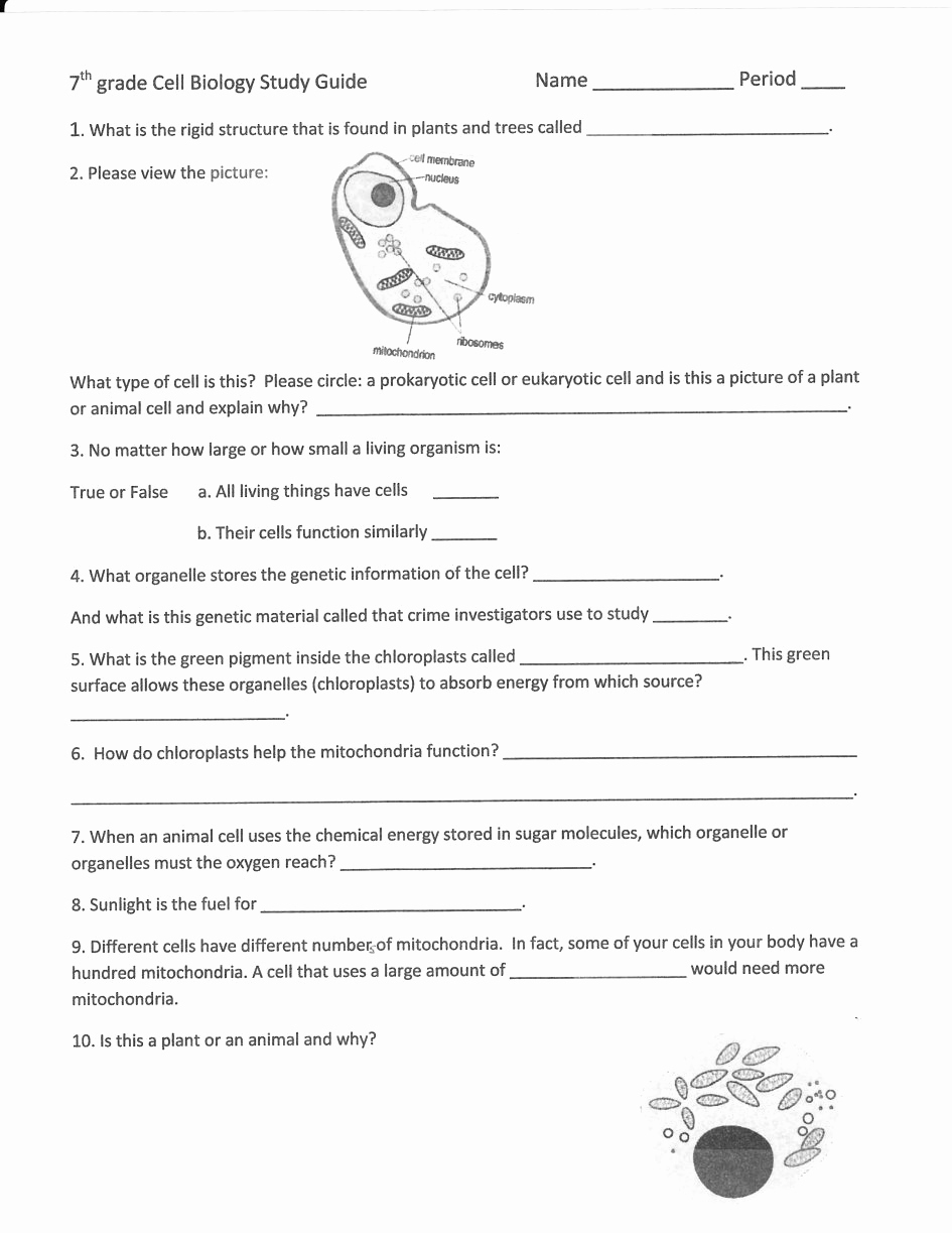 Science Worksheets For 5Th Grade Beautiful Free Printable Science | 5Th Grade Science Printable Worksheets