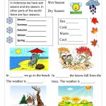 Season Worksheet   Free Esl Printable Worksheets Madeteachers | Free Printable Seasons Worksheets