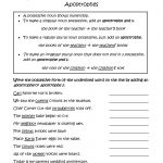 Singular And Plural Possessive Nouns With Apostrophes Worksheets | Possessive Nouns Printable Worksheets