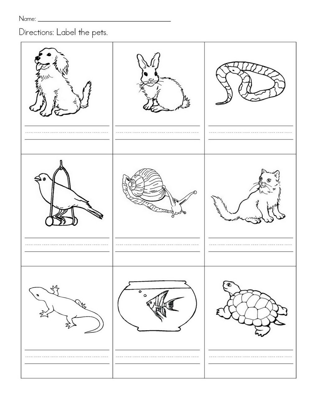 Stempelkaart | Pets Preschool Theme | Kindergarten Worksheets | Pets Worksheets Printables