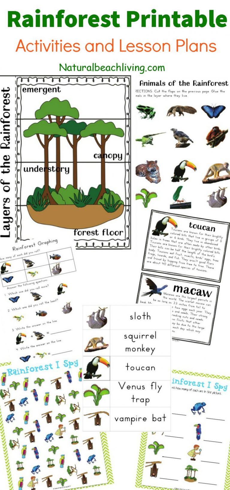 preschool-printable-worksheets-five-senses
