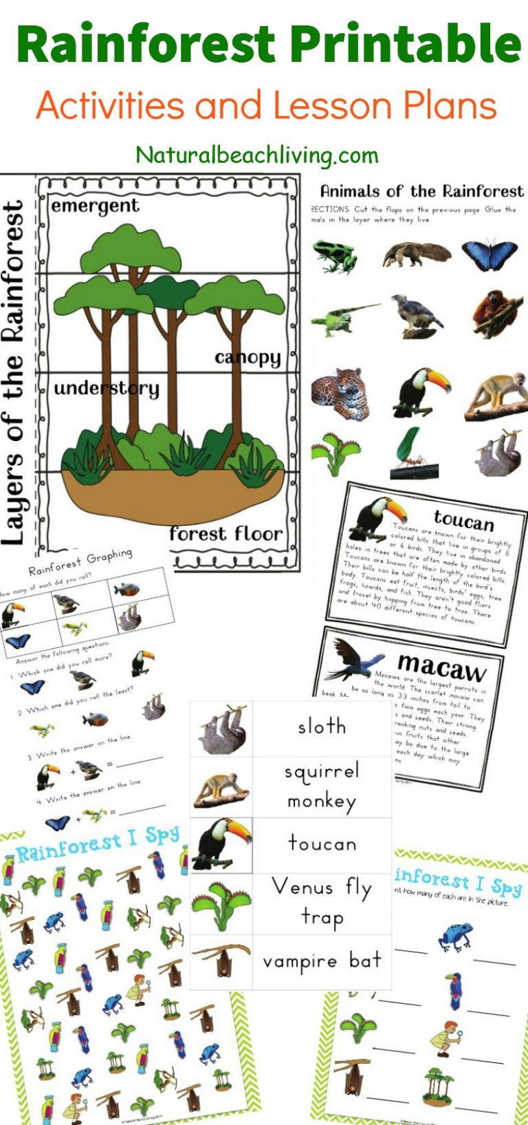 the-best-rainforest-printable-activities-for-kids-natural-beach-living-rainforest-printable