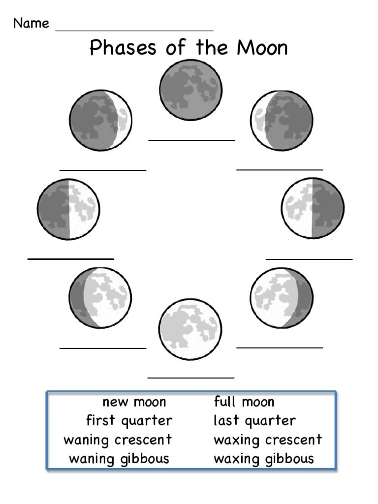 This Is A Worksheet To Show The Phases Of The Moon. | Science | Moon | Phases Of The Moon Printable Worksheets
