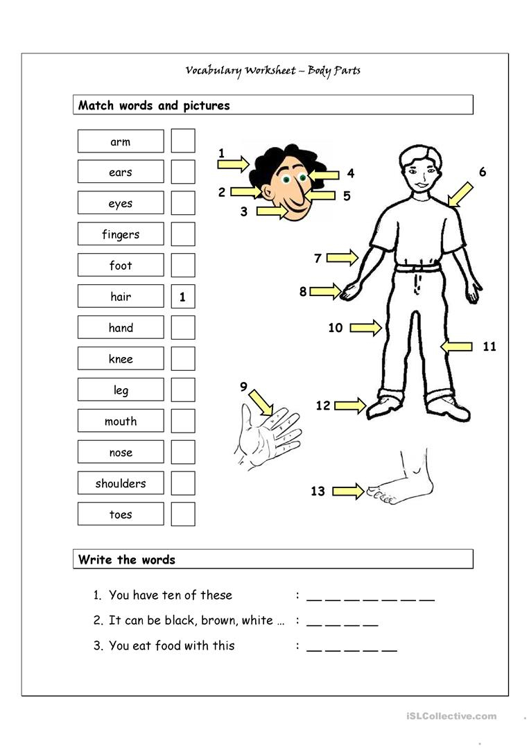 Vocabulary Matching Worksheet - Body Parts (1) Worksheet - Free Esl | Free Printable Worksheets Preschool Body Parts