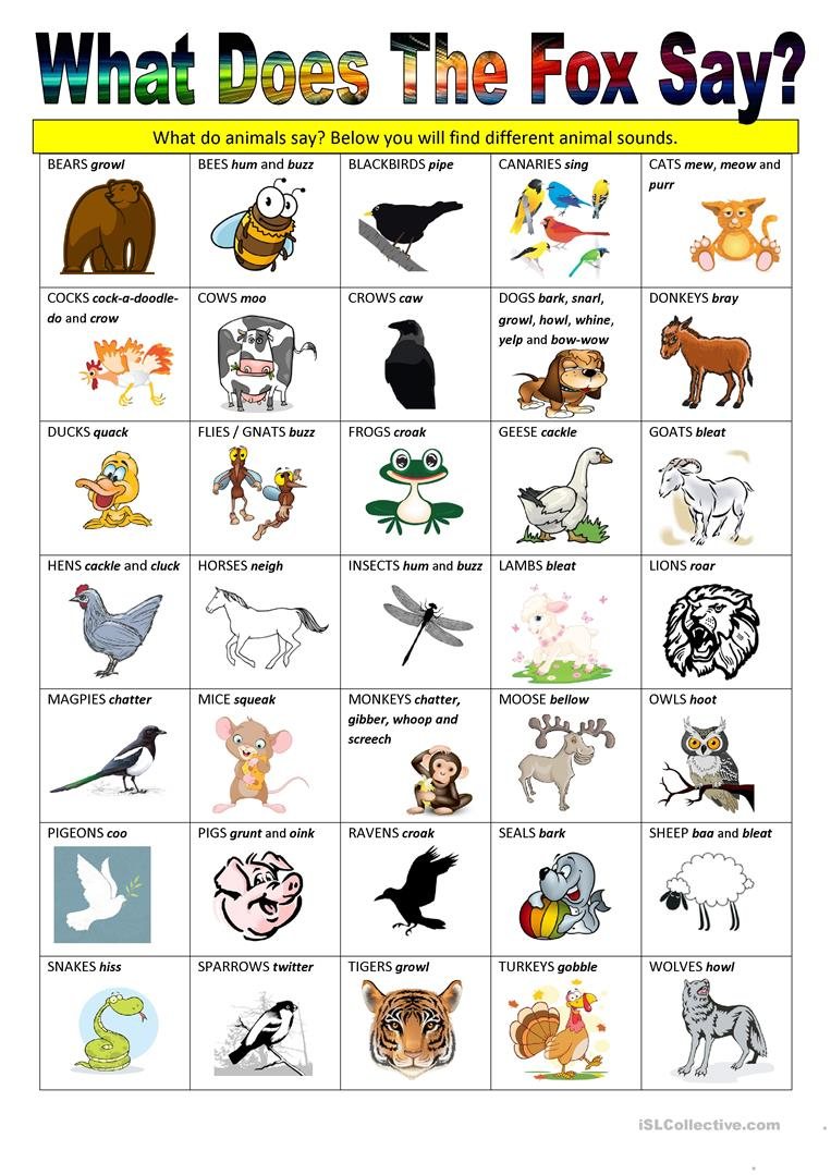 What Does The Fox Say - Animal Sounds Worksheet - Free Esl Printable | Animal Sounds Printable Worksheets