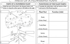 Science Worksheets Ks2 Printable