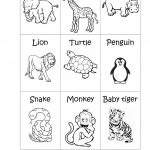 Zoo Animals   Big Or Small? Worksheet   Free Esl Printable | Free Printable Zoo Worksheets