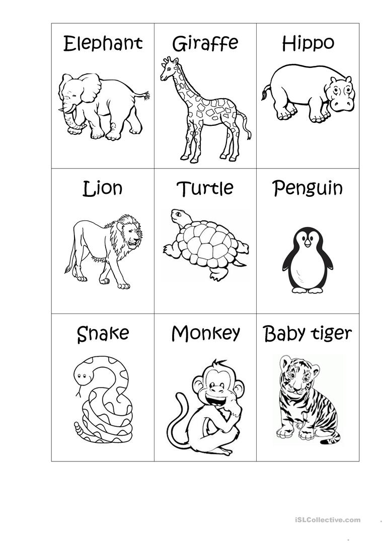 Zoo Animals - Big Or Small? Worksheet - Free Esl Printable | Free Printable Zoo Worksheets
